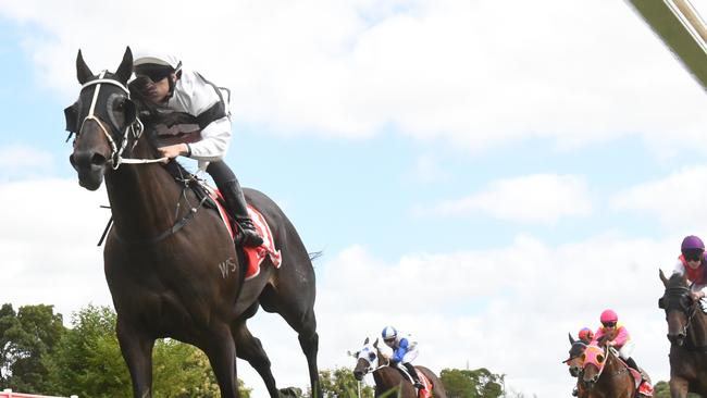 Different types of investors are thought to exist for each division. (Ross Holburt/Racing Photos via Getty Images)