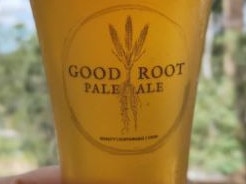 Coast brewery promises ‘good root’ with new beer