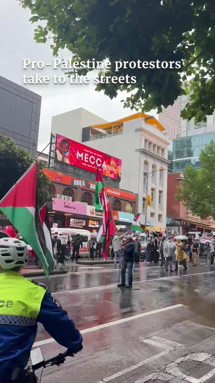 Pro-Palestine protesters take to the streets