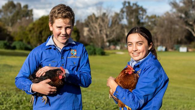 Year 10 students Lewis Schubert and Chloe Watson are making the most of the new agricultural facilities at their school. The next stage of development due to be completed focuses on poultry. Picture: Supplied