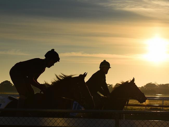 United Kingdom horses Mask Of Time (left) and Wall Of Fire during a trackwork session. Picture: Getty Images