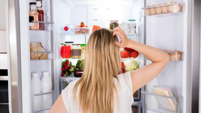 After 13 years, Sharyn Ghidella’s fridge is on life support.