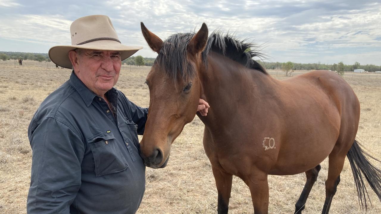 Rothfire’s breeder Wally Gleeson lucky to be alive after major health ...