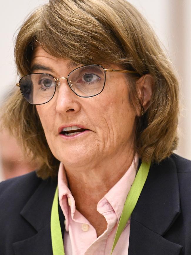 This is a picture of the real Michele Bullock. Picture: NewsWire / Martin Ollman