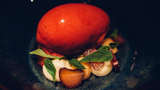 Rhubarb sorbet and white chocolate fudge at The Henry Austin