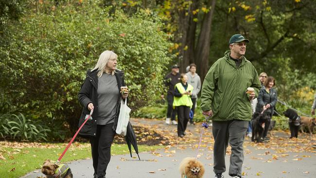 Million Paws Walk in the Adelaide Botanic Gardens, Sunday, May 28, 2023. Picture: Matt Loxton