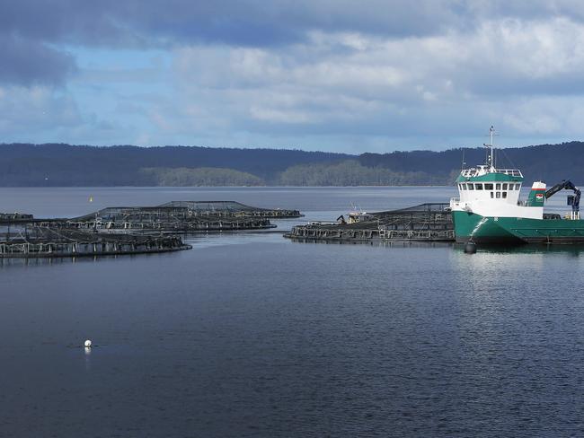 Tassal salmon pens, in Macquarie Harbour, Strahan, West Coast of TasmaniaPicture: MATHEW FARRELLfish / pen / salmon / farm / fish farm / net / cage / aquaculture