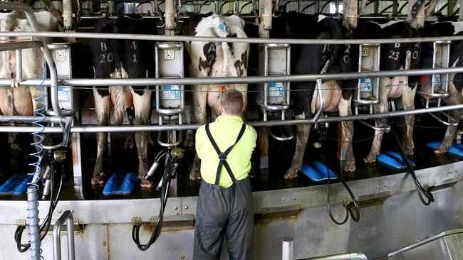 When asked if they were satisfied Dairy Australia was investing their levies appropriately, farmers gave it a score of 5.5 out of 10, while only 42 per cent felt they were well-informed about how the R &amp; D body invested their levies.