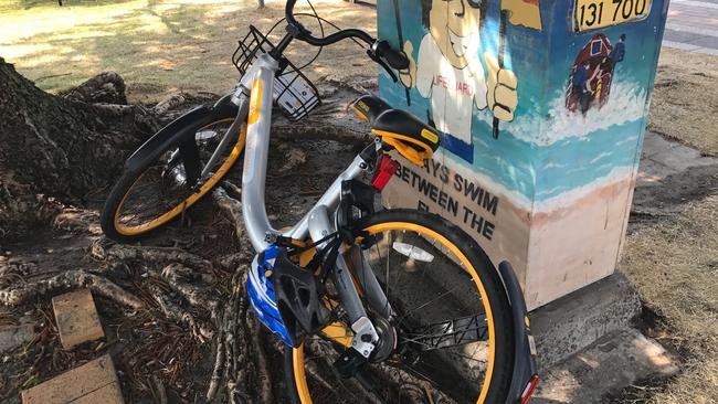 Dockless bikes are being dumped in large numbers across the eastern suburbs including here at Coogee Beach