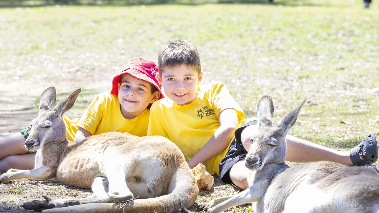 ‘Hoppy campers’: Magical break for parents as kids with disabilities ‘vanish’ for holiday fun