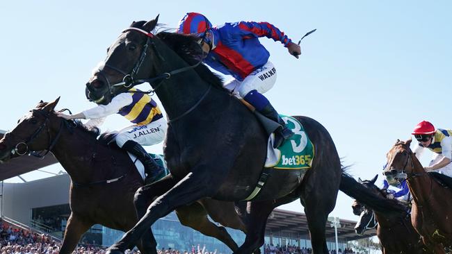 Three-time Melbourne Cup placegetter Prince Of Arran has been retired by trainer Charlie Fellowes. Picture: AAP