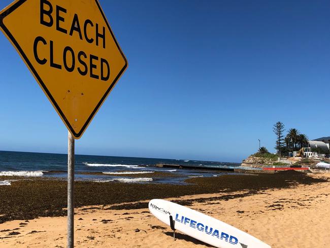 It’s unfortunate timing, but the beach will remain closed until the tides clear the seaweed.