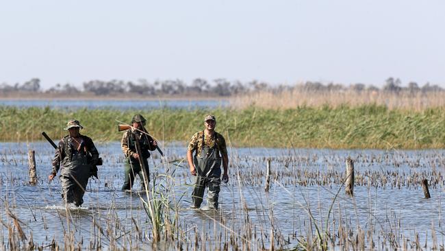Standing by: Duck hunters are still awaiting news on this year’s hunting season. Picture: Yuri Kouzmin