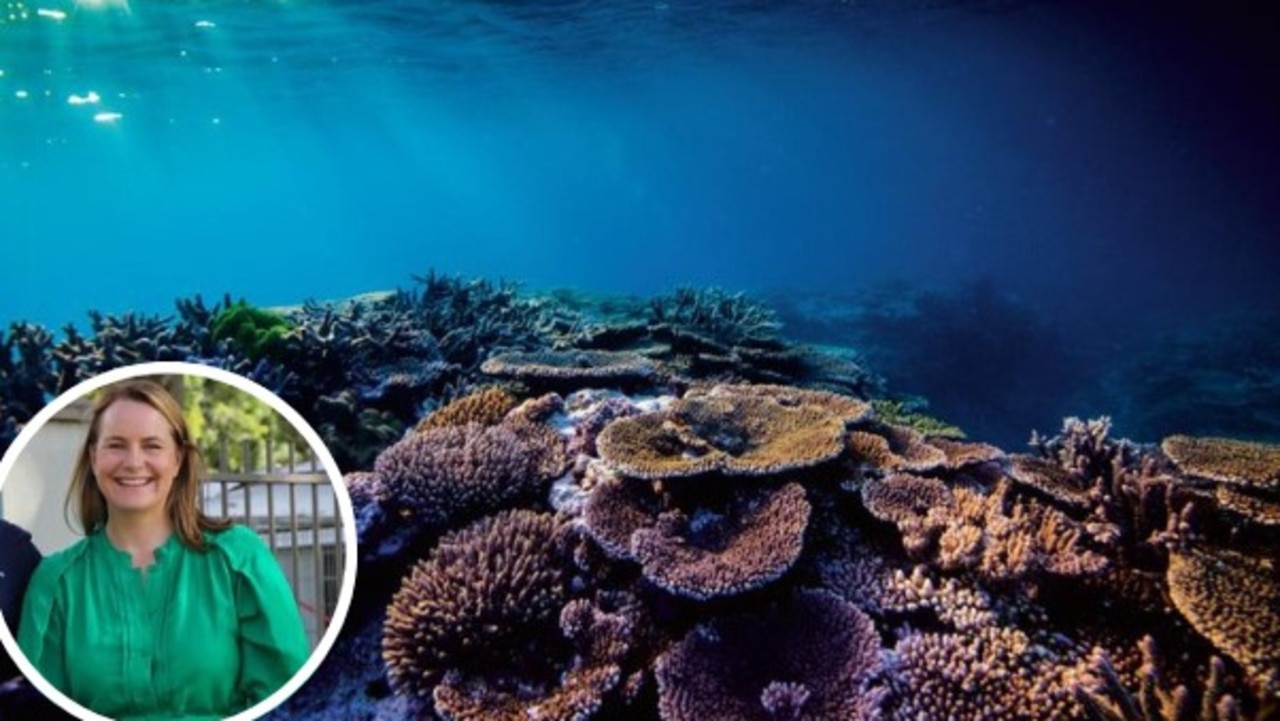 The Great Barrier Reef has been taken off the UNESCO World Heritage Committee’s “in danger” list.