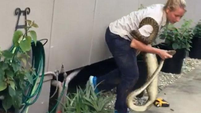 Brydie emerges from under the house with the well-fed reptile. Picture: Brydie Maro