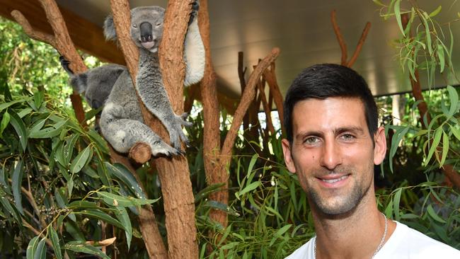 Novak Djokovic of Serbia is seen with a Koala during a visit to the Lone Pine Koala Sanctuary in Brisbane, Wednesday, January 1, 2020. World number two ranked tennis player Novak Djokovic is in Brisbane to compete in the ATP Cup which will feature tennis players from 24 countries going head-to-head in Brisbane, Sydney and Perth. (AAP Image/Darren England) NO ARCHIVING, EDITORIAL USE ONLY