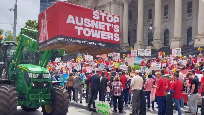 A Stop AusNet's Towers rally at state parliament on March 8, 2022. Photo: Stop AusNet's Towers