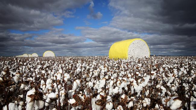 US-based JG Boswell sold NSW cotton giant Auscott to Canada’s PSP Investments for more than $500m. Picture: Andy Rogers