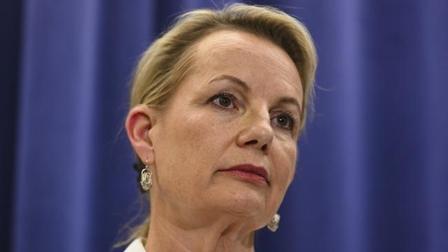 Deputy opposition leader Sussan Ley. Picture: NCA NewsWire / Martin Ollman