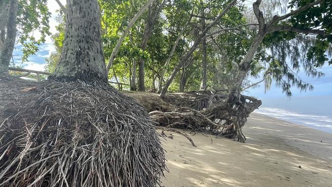 Erosion on Holloways Beach. Picture: Peter Carruthers.