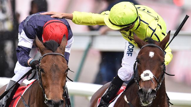 Almandin won the Melbourne Cup, but this was the big race’s most poignant moment. Picture: AAP