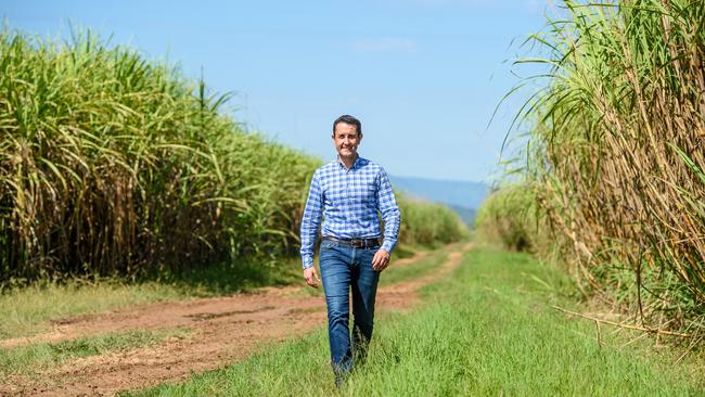 David Crisafulli on the family property. Picture: Scott Radford Chisholm