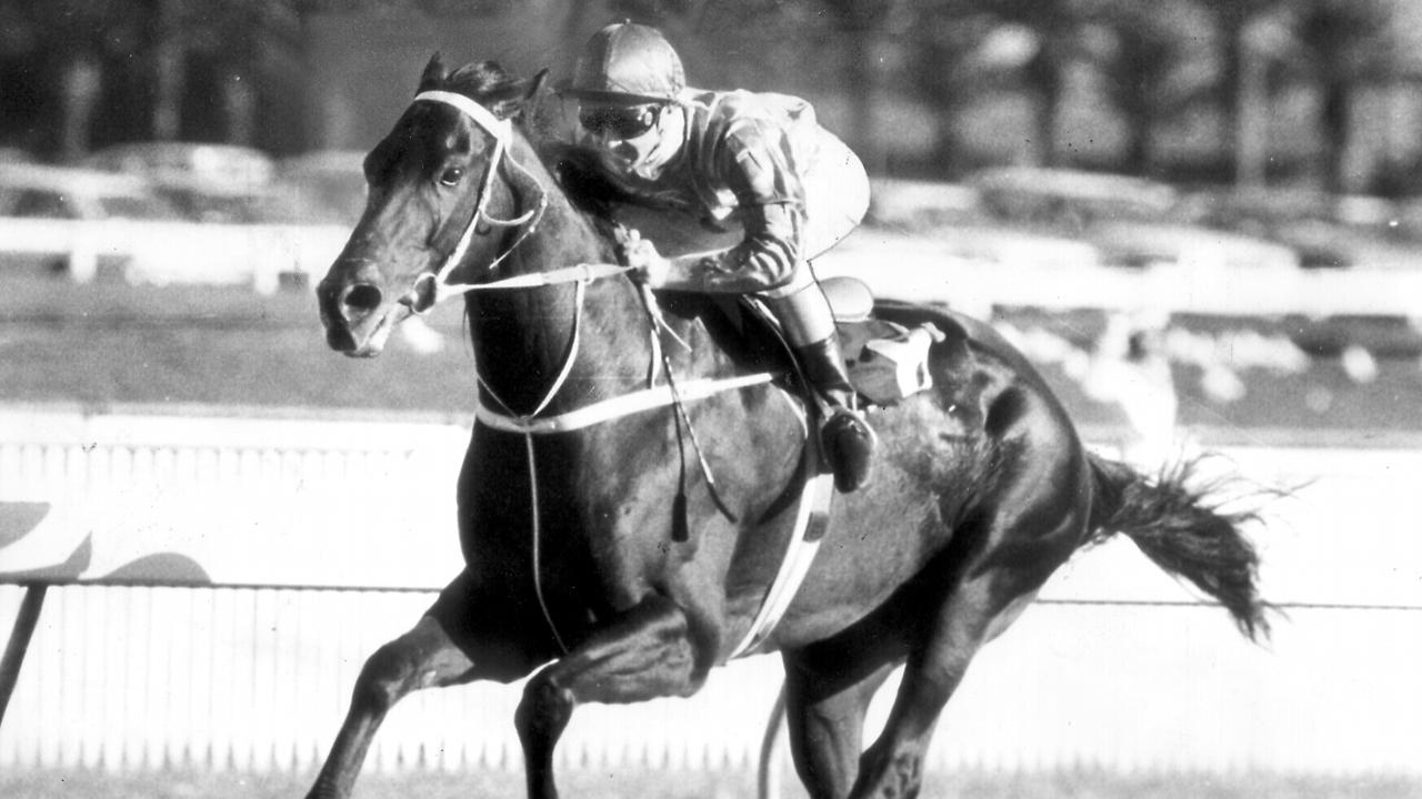 Horseracing - racehorse Kingston Town ridden by jockey Malcolm Johnston winning Sydney Cup at Randwick 12 Apr 1980. a/ct