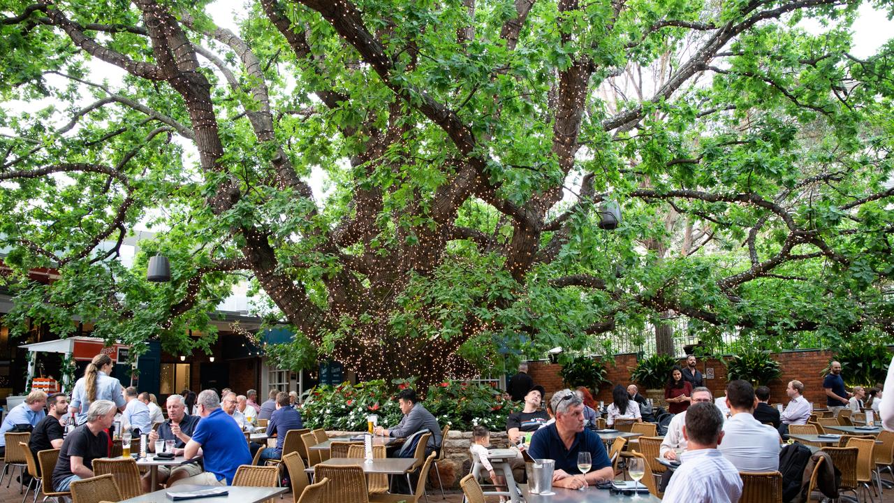 Best beer gardens in Sydney | Daily Telegraph