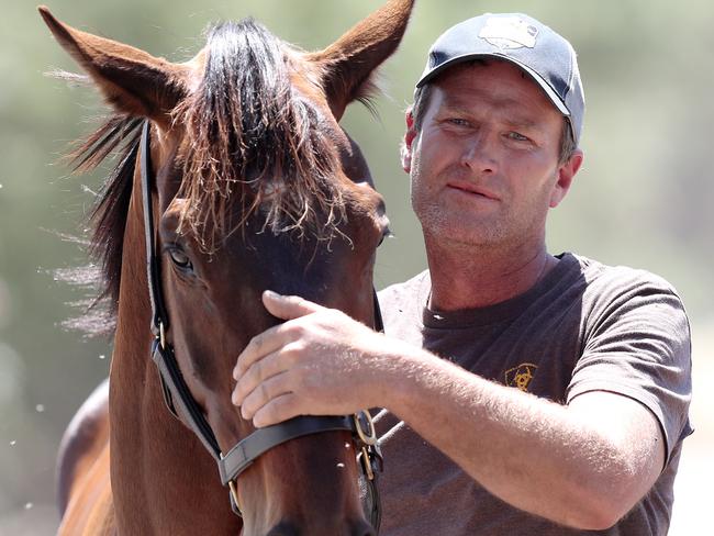 FOR SHS FEATURE..... Horsham trainer Paul Preusker with his Melbourne Cup hope Surprise Baby at his Hosham property.  . Pic: Micheal Klein