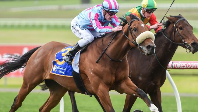 Al Galayel, ridden by Mark Zahra, wins the Clanbrooke Racing Handicap at Sandown last month. Picture: Getty Images