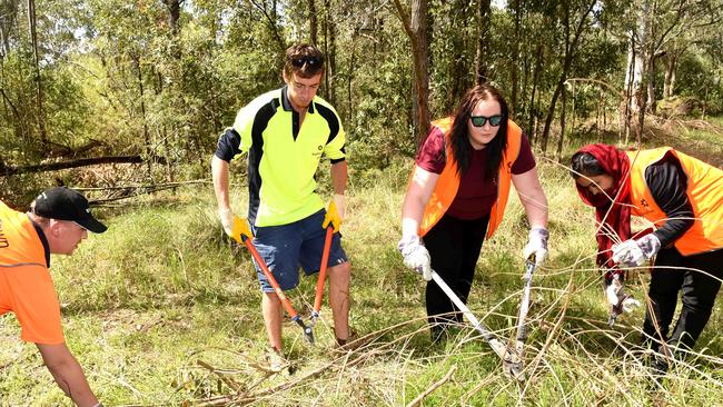 Boystown Western Sydney run a bush regeneration programme at Toongabbie Creek as part of the Work for the Dole Scheme with good attendances. Most unemployed people want to work.