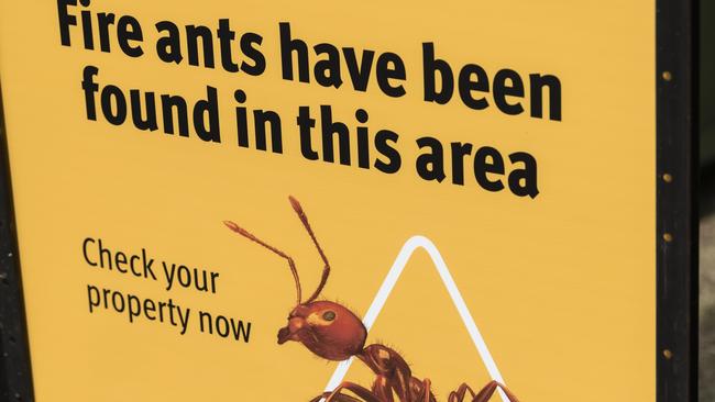 A Queensland government sign advises that fire ants have been found in the area. Picture: Kevin Farmer