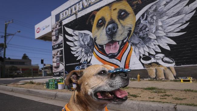 Axle in front of his mural on Nepean Highway. Photo: Wayne Taylor