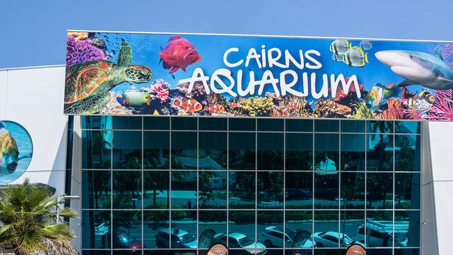 The Cairns Aquarium is open throughout the two weeks school holidays extended. Picture: Emily Barker