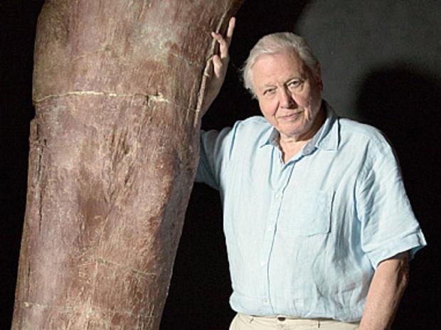 David Attenborough with remains of largest dinosaur on the planet. Picture: BBC