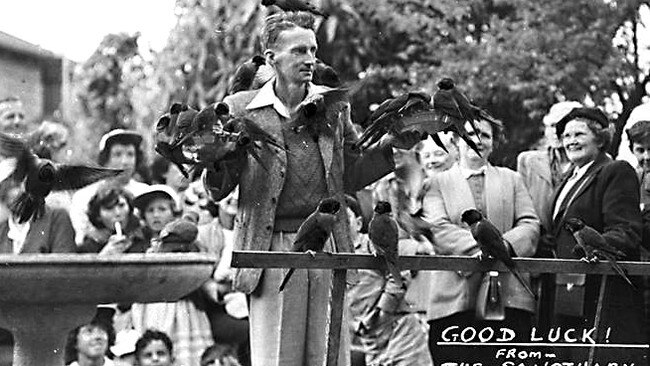 Alex Griffiths feeding lorikeets at the Currumbin Bird Sanctuary, circa 1950. Photographer unknown. Gold Coast City Council archive