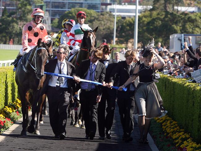 Royal Randwick Races. Black Caviar with Luke Nolen aboard is lead back to scale by winning owner Neil Werrett.