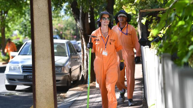 PIRSA biosecurity officers Joshua Dowsett and Saurin Barot have been helping SA deal with fruit fly outbreaks. Picture: Keryn Stevens