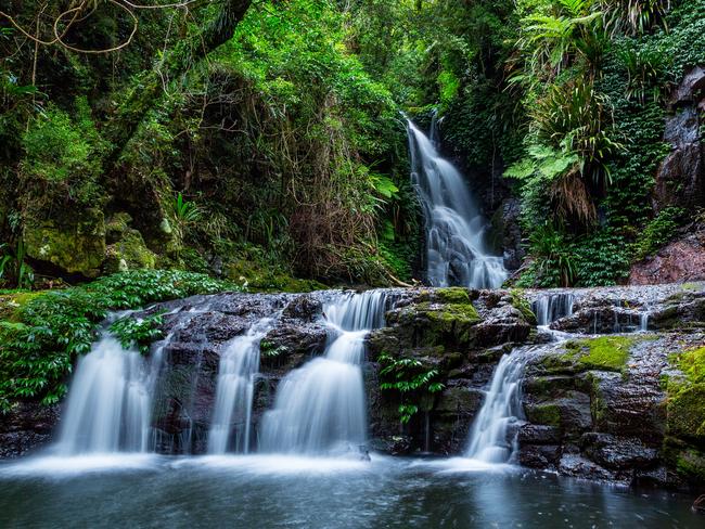 Elabana Falls at O’Reilly’s Rainforest. 