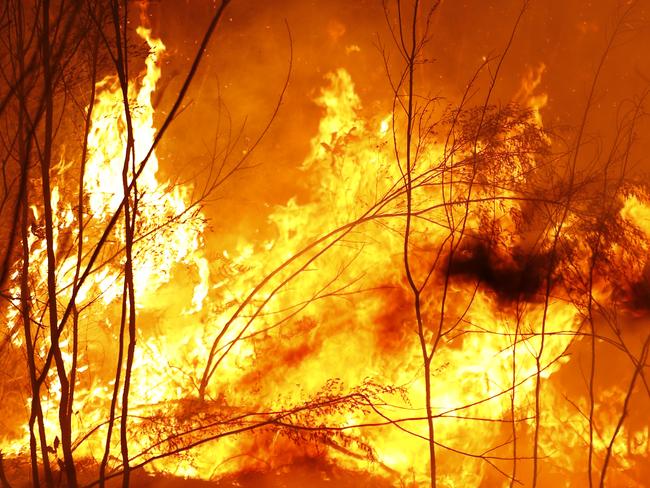 Bushfires have devastated huge parts of Australia this season. Picture: Darrian Traynor/Getty