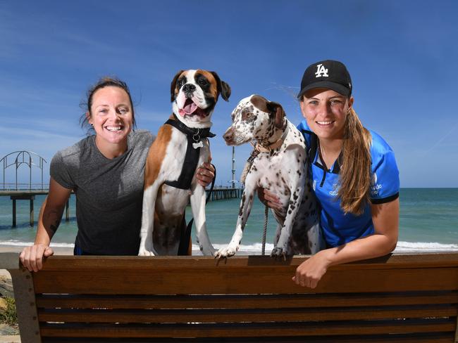 Strikers team-mates Sarah Coyte with her boxer Bonnie and Alex Price with her dalmatian Belle at Brighton Beach. Picture: Tricia Watkinson