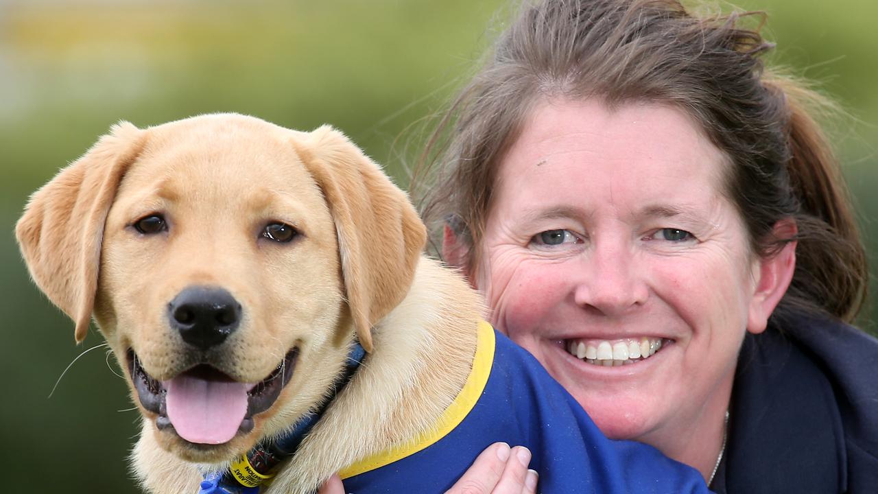 Petbarn Foundation Seeing Eye Dogs Appeal Aims To Raise $800,000 ...