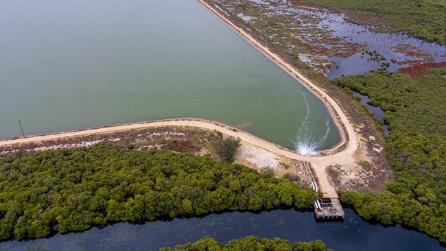 Drone footage of dead and dying mangroves and saltmarsh at St Kilda, where super salty water can be seen in evaporation ponds and some brine is crystallising to white salt. Picture: Alex Mausolf