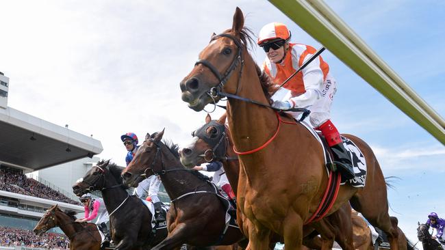 Vow And Declare ridden by Craig Williams wins the Lexus Melbourne Cup, at Flemington Racecourse on November 05, 2019 in Flemington, Australia. (Reg Ryan/Racing Photos via Getty Images)