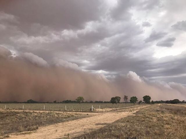 This photo was taken 25km south of Kerang. Picture: Rebecca Dick