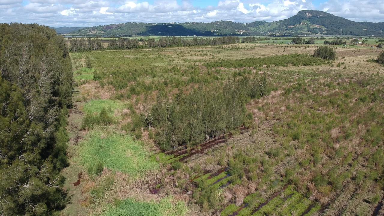 The Coolum Creek Environment Reserves, forms part of the 5000 hectare Blue Heart Sunshine Coast.