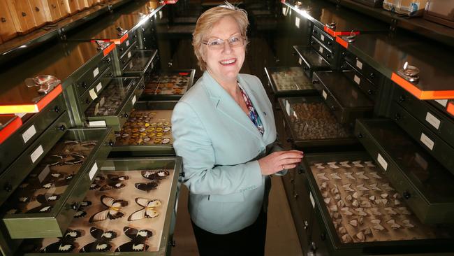 CSIRO chief Megan Clark has been named a Companion of the Order of Australia (AC) for eminent service to scientific research. Picture: Gary Ramage