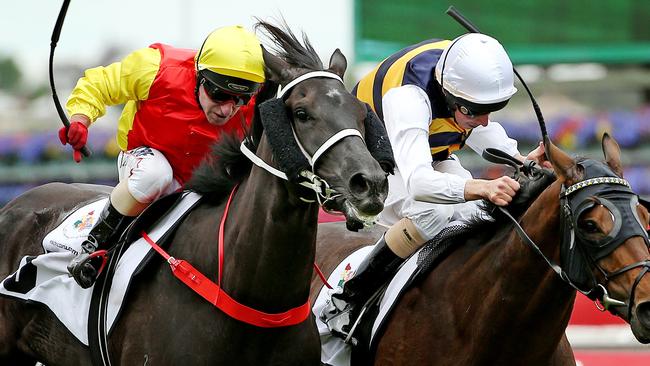 Cassidy’s Melbourne Cup mount Grand Marshal winning at Flemington on Cup Day last year. Picture: Colleen Petch