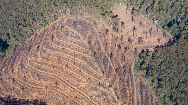 Aerial shot of coupe at Big Pats Creek. Picture: Sarah Rees