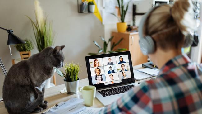 The agreement between Insignia and the FSU also protects work from home privileges. Picture: iStock